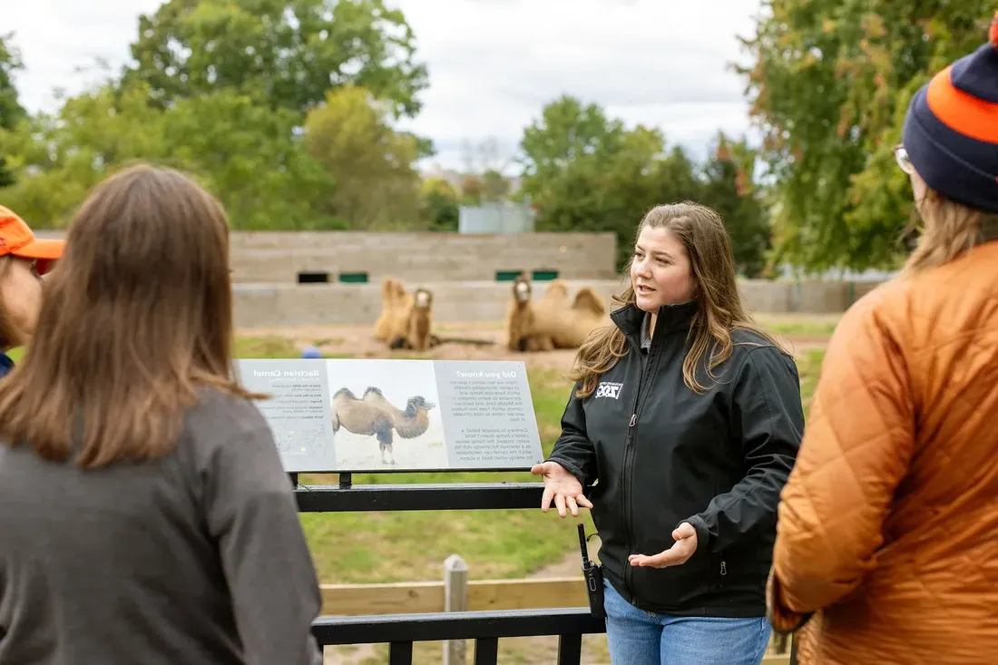 Alumni Mary Hillebrand working at the Rosamond Gifford Zoo in Syracuse, New York.